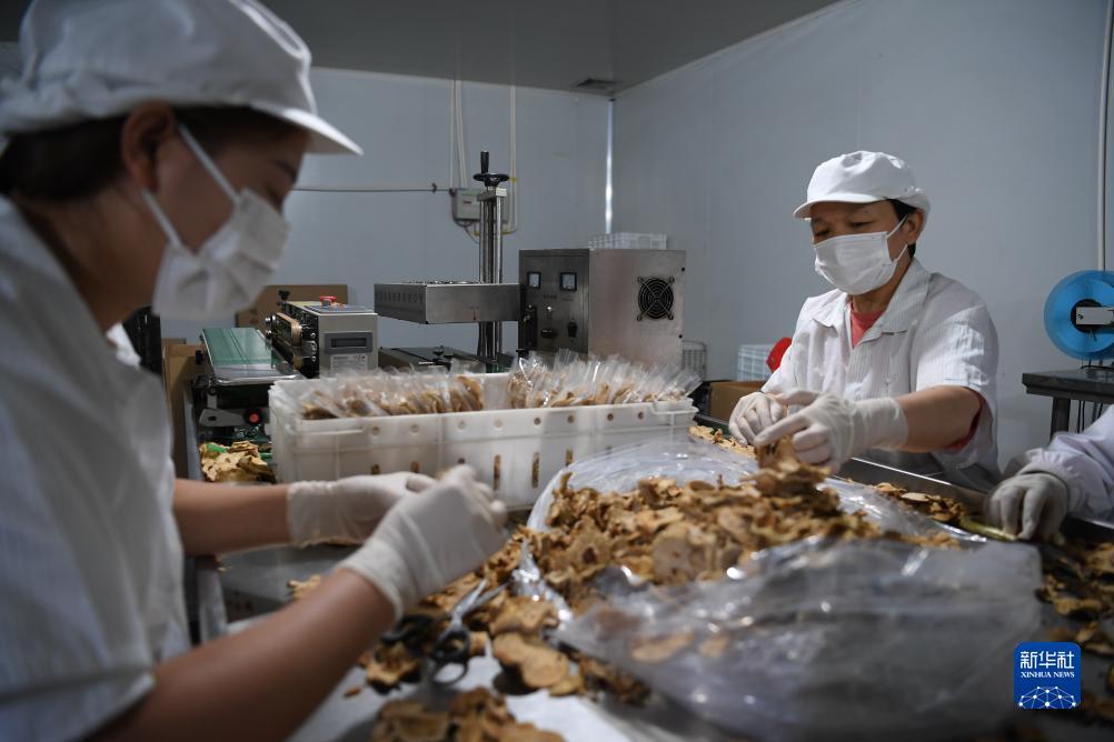 网上赌盘线上
